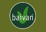 Baivan