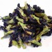 Тайский синий чай (Butterfly Pea Tea, Нам Док Анчан)